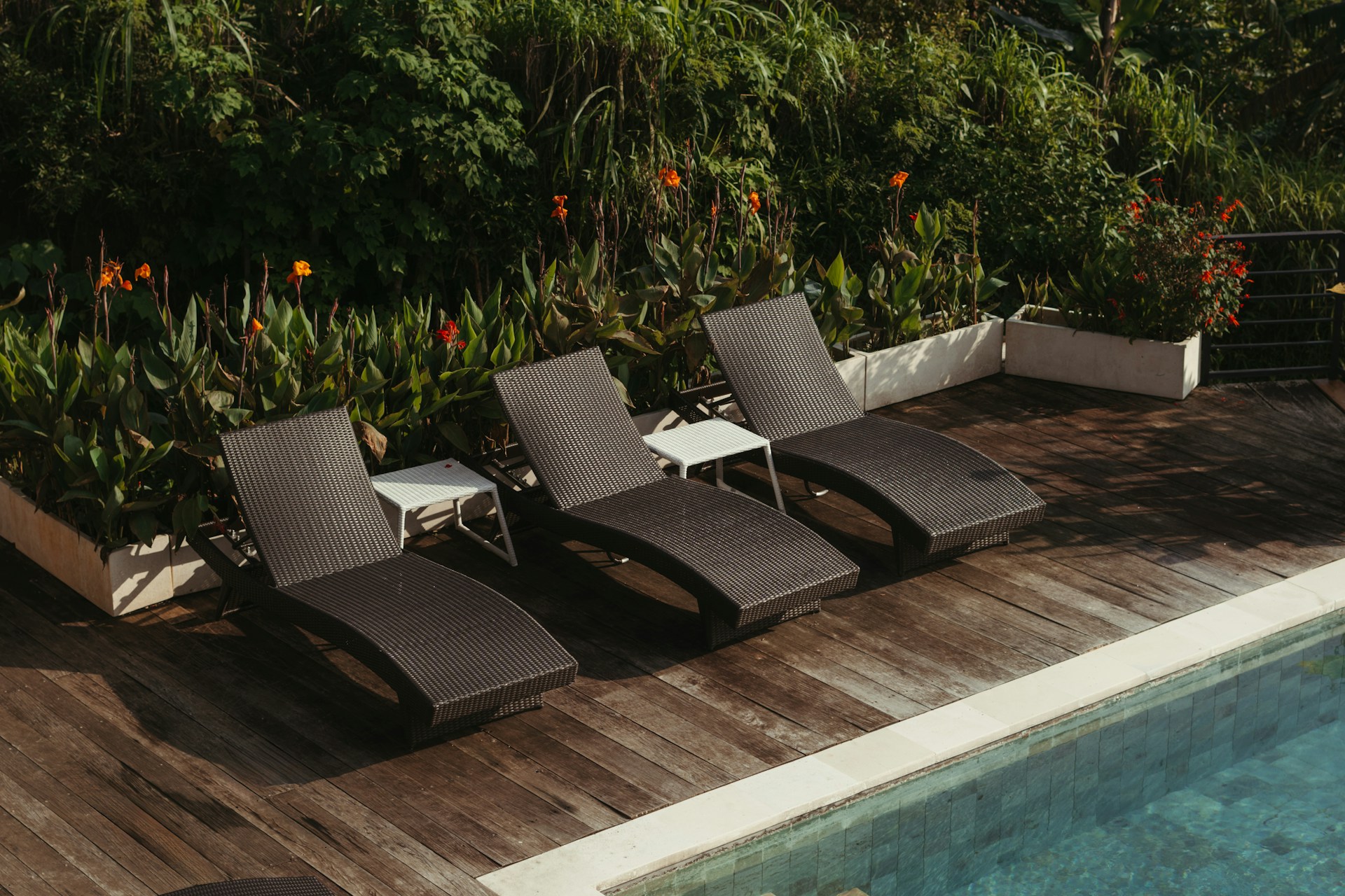 Chaise Loungers